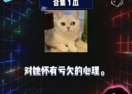 娱乐八卦吃瓜网站在线观看视频,热门八卦视频大揭秘