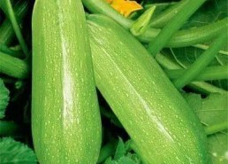 西西吃瓜网,西西吃瓜网带你领略明星幕后故事