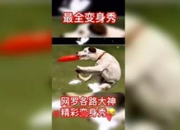 嘻嘻哈哈娱乐吃瓜,揭秘吃瓜群众的狂欢盛宴