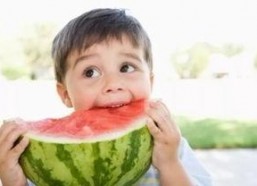 娱乐圈吃瓜隐喻名字