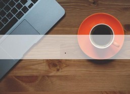 娱乐吃瓜酱精神抚慰犬